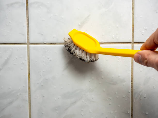 Best Affordable Mold Removal  in Ken Caryl, CO